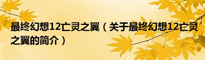 最終幻想12亡靈之翼（關(guān)于最終幻想12亡靈之翼的簡(jiǎn)介）