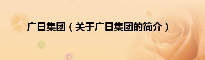 廣日集團(tuán)（關(guān)于廣日集團(tuán)的簡(jiǎn)介）