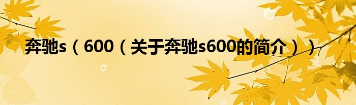 奔馳s（600（關于奔馳s600的簡介））