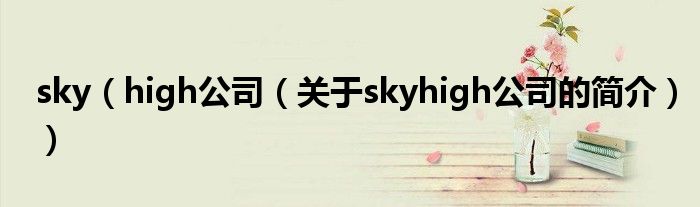 sky（high公司（關(guān)于skyhigh公司的簡介））