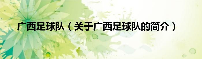 廣西足球隊(duì)（關(guān)于廣西足球隊(duì)的簡(jiǎn)介）