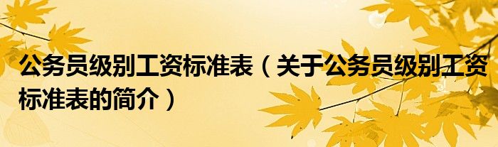 公務員級別工資標準表（關于公務員級別工資標準表的簡介）