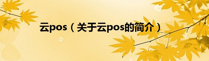 云pos（關(guān)于云pos的簡介）