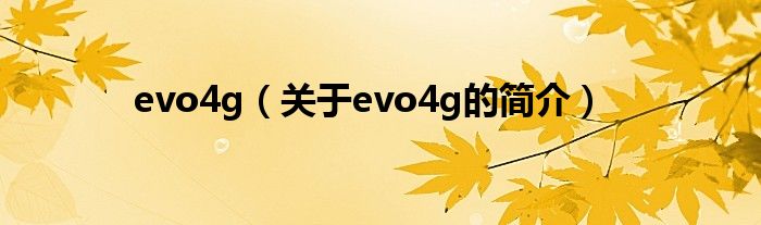 evo4g（關于evo4g的簡介）