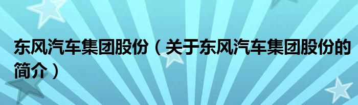 東風(fēng)汽車集團股份（關(guān)于東風(fēng)汽車集團股份的簡介）