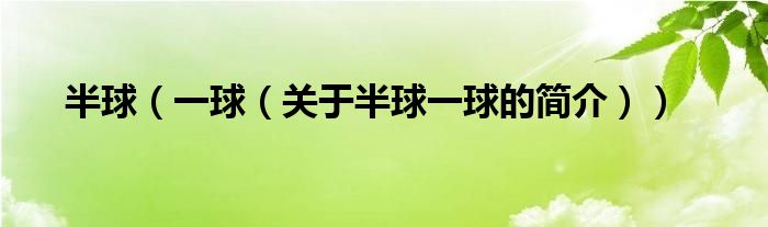 半球（一球（關(guān)于半球一球的簡介））