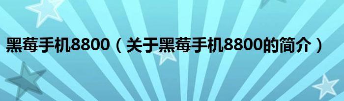 黑莓手機(jī)8800（關(guān)于黑莓手機(jī)8800的簡介）