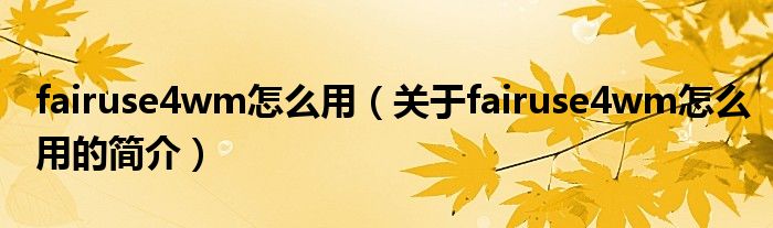 fairuse4wm怎么用（關(guān)于fairuse4wm怎么用的簡介）