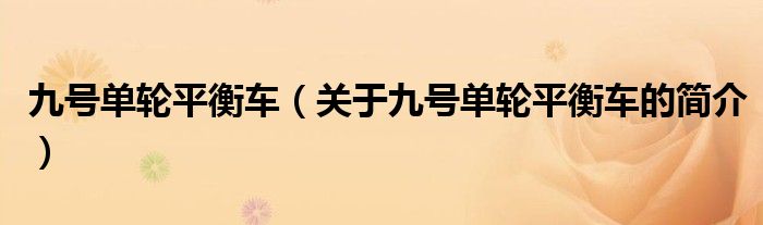 九號(hào)單輪平衡車（關(guān)于九號(hào)單輪平衡車的簡介）