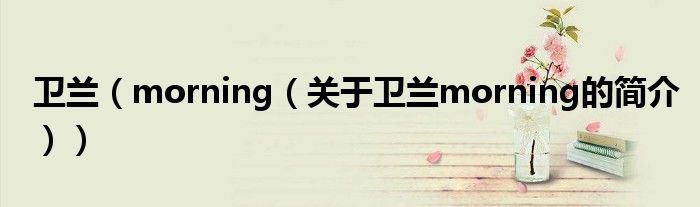 衛(wèi)蘭（morning（關(guān)于衛(wèi)蘭morning的簡介））