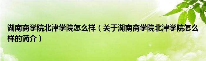 湖南商學(xué)院北津?qū)W院怎么樣（關(guān)于湖南商學(xué)院北津?qū)W院怎么樣的簡介）