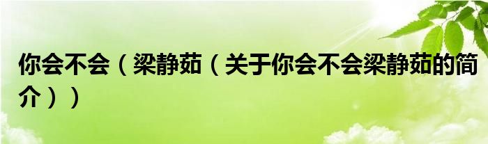 你會(huì)不會(huì)（梁靜茹（關(guān)于你會(huì)不會(huì)梁靜茹的簡(jiǎn)介））