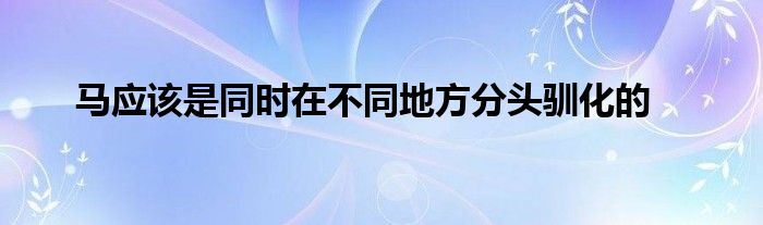 馬應該是同時在不同地方分頭馴化的