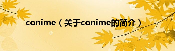 conime（關(guān)于conime的簡介）