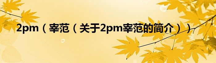 2pm（宰范（關(guān)于2pm宰范的簡(jiǎn)介））