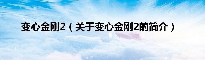 變心金剛2（關(guān)于變心金剛2的簡介）