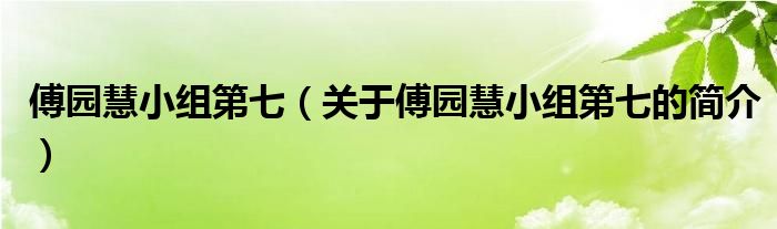 傅園慧小組第七（關(guān)于傅園慧小組第七的簡介）