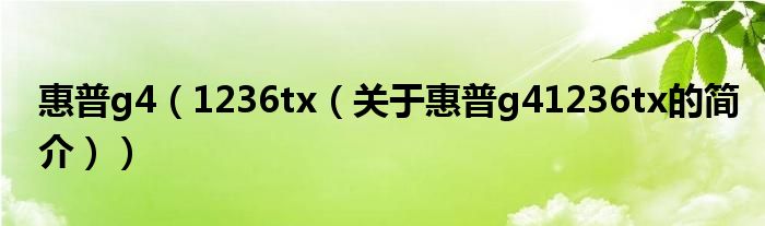 惠普g4（1236tx（關(guān)于惠普g41236tx的簡(jiǎn)介））