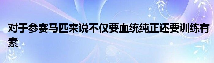 對(duì)于參賽馬匹來(lái)說不僅要血統(tǒng)純正還要訓(xùn)練有素