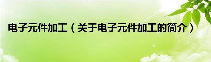 電子元件加工（關(guān)于電子元件加工的簡介）