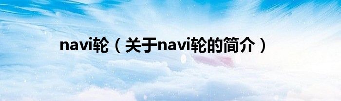 navi輪（關于navi輪的簡介）