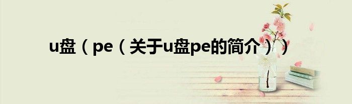 u盤（pe（關(guān)于u盤pe的簡介））