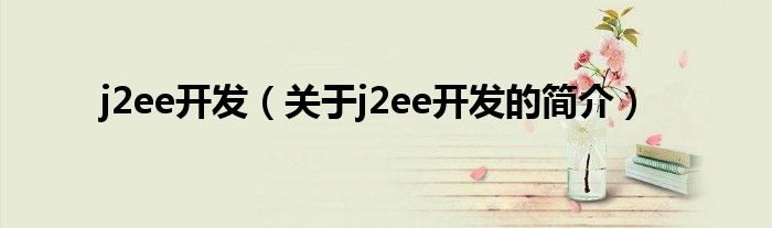 j2ee開(kāi)發(fā)（關(guān)于j2ee開(kāi)發(fā)的簡(jiǎn)介）