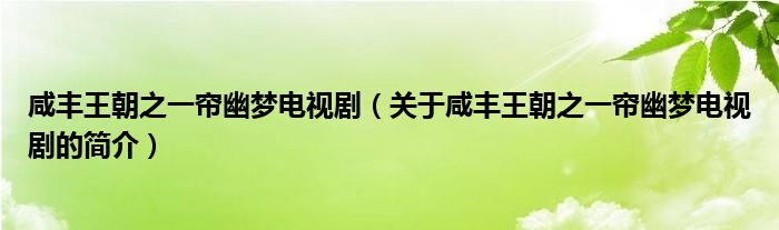 咸豐王朝之一簾幽夢電視?。P(guān)于咸豐王朝之一簾幽夢電視劇的簡介）