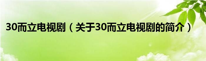 30而立電視?。P于30而立電視劇的簡介）