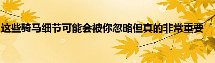 這些騎馬細節(jié)可能會被你忽略但真的非常重要