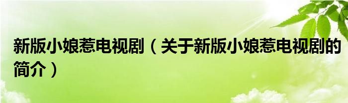 新版小娘惹電視?。P于新版小娘惹電視劇的簡介）