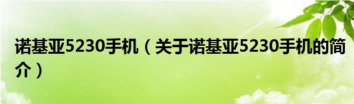 諾基亞5230手機(jī)（關(guān)于諾基亞5230手機(jī)的簡(jiǎn)介）