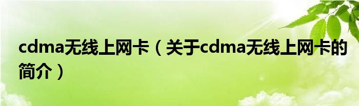 cdma無線上網(wǎng)卡（關于cdma無線上網(wǎng)卡的簡介）