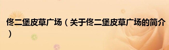 佟二堡皮草廣場(chǎng)（關(guān)于佟二堡皮草廣場(chǎng)的簡(jiǎn)介）