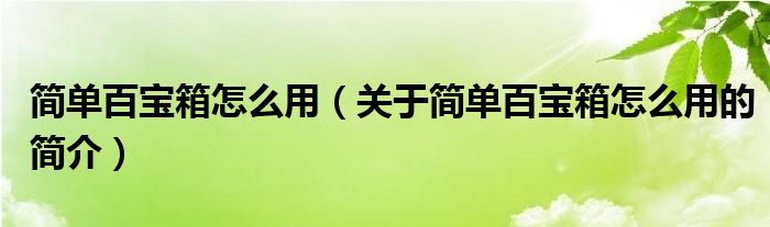 簡單百寶箱怎么用（關(guān)于簡單百寶箱怎么用的簡介）