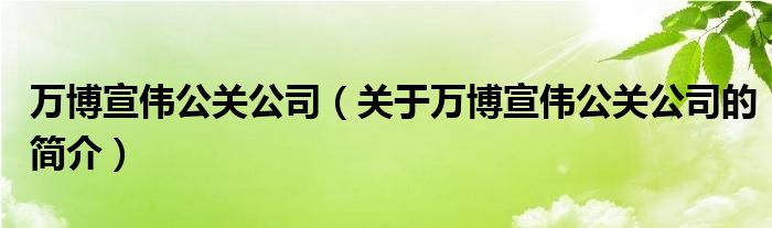 萬博宣偉公關(guān)公司（關(guān)于萬博宣偉公關(guān)公司的簡介）