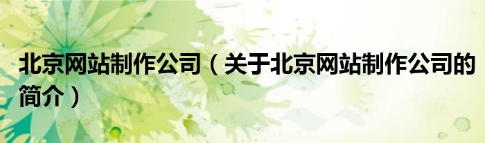 北京網(wǎng)站制作公司（關(guān)于北京網(wǎng)站制作公司的簡(jiǎn)介）