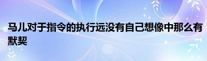 馬兒對于指令的執(zhí)行遠(yuǎn)沒有自己想像中那么有默契