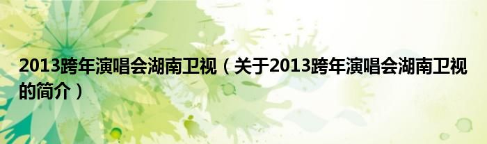 2013跨年演唱會湖南衛(wèi)視（關于2013跨年演唱會湖南衛(wèi)視的簡介）