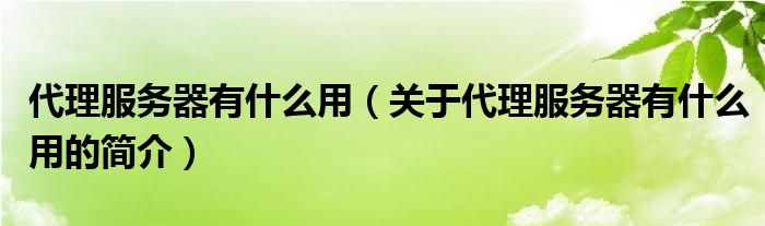 代理服務(wù)器有什么用（關(guān)于代理服務(wù)器有什么用的簡介）