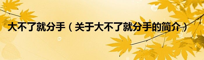 大不了就分手（關(guān)于大不了就分手的簡介）