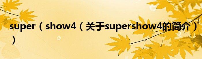 super（show4（關于supershow4的簡介））