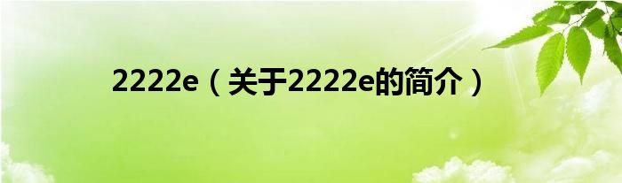 2222e（關(guān)于2222e的簡(jiǎn)介）