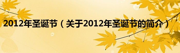 2012年圣誕節(jié)（關(guān)于2012年圣誕節(jié)的簡介）