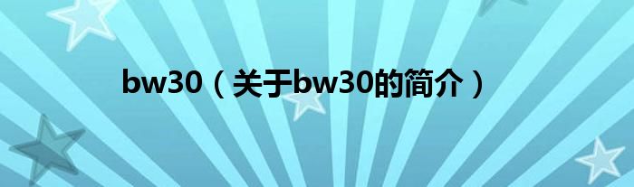 bw30（關于bw30的簡介）