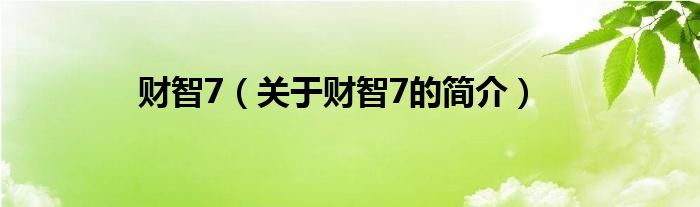 財智7（關(guān)于財智7的簡介）