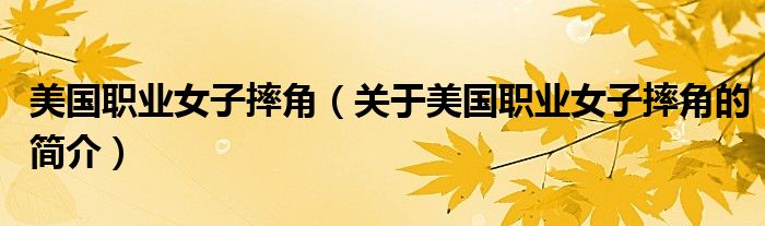 美國(guó)職業(yè)女子摔角（關(guān)于美國(guó)職業(yè)女子摔角的簡(jiǎn)介）