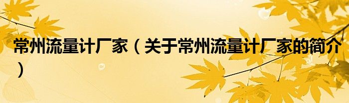 常州流量計廠家（關于常州流量計廠家的簡介）