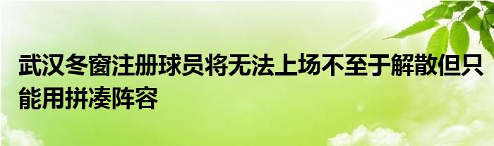 武漢冬窗注冊(cè)球員將無法上場不至于解散但只能用拼湊陣容