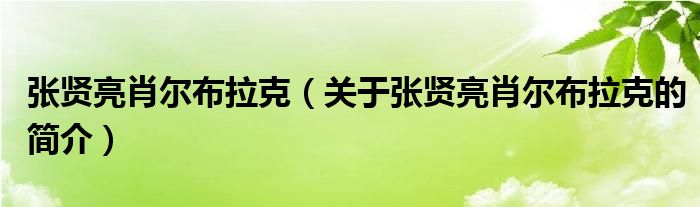 張賢亮肖爾布拉克（關于張賢亮肖爾布拉克的簡介）